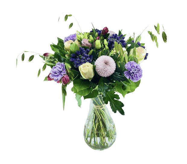 Rosa & Lilla Drøm Mellem