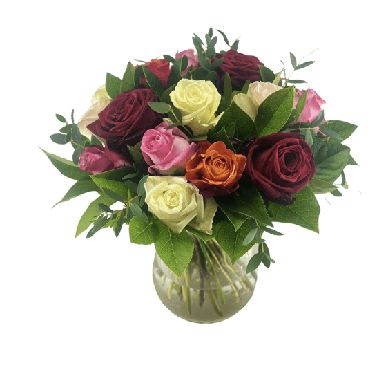Farverig Rosenglæde Premium